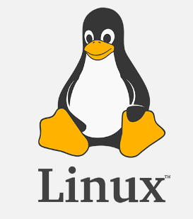 Pasted image 20241108225129.png